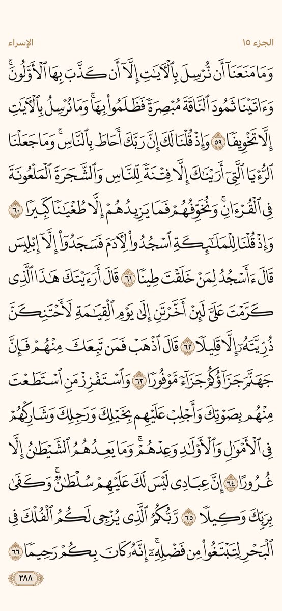 AlMosahf's tweet photo. ورد الثلاثاء https://t.co/uc5qjT2i2R