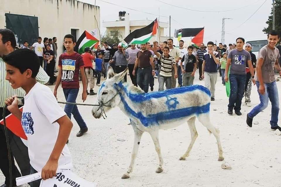 Bir eşeği İsrail bayrağına boyayıp, 
işkence ederek diri diri yakan insanlarla 
barış yapamazsınız.