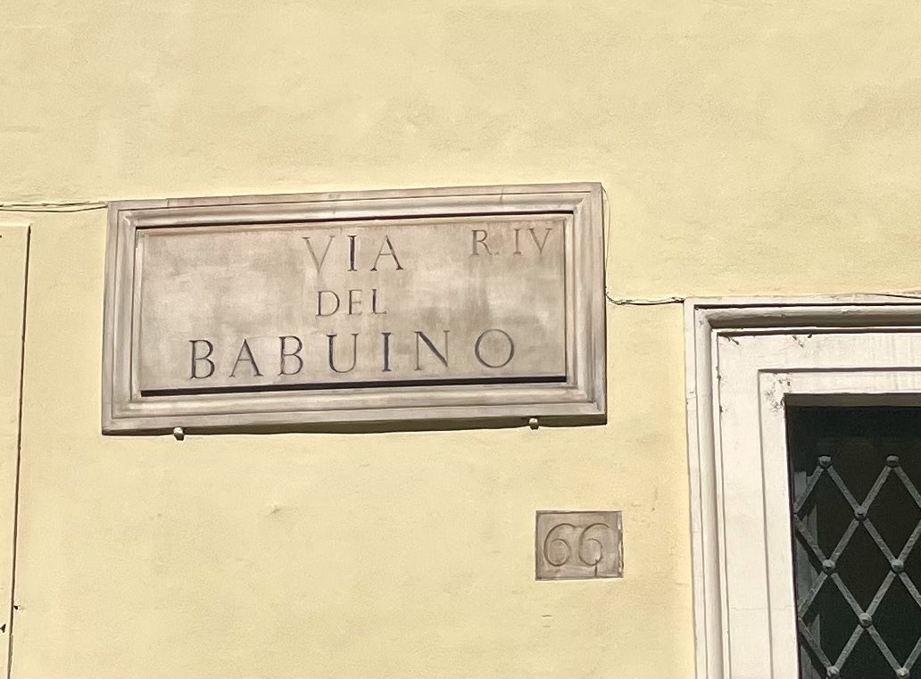 Ayer fue el Día Mundial de los #Primates y durante el congreso de la #EAA2024 en Roma descubrimos esta calle 🙈🐒