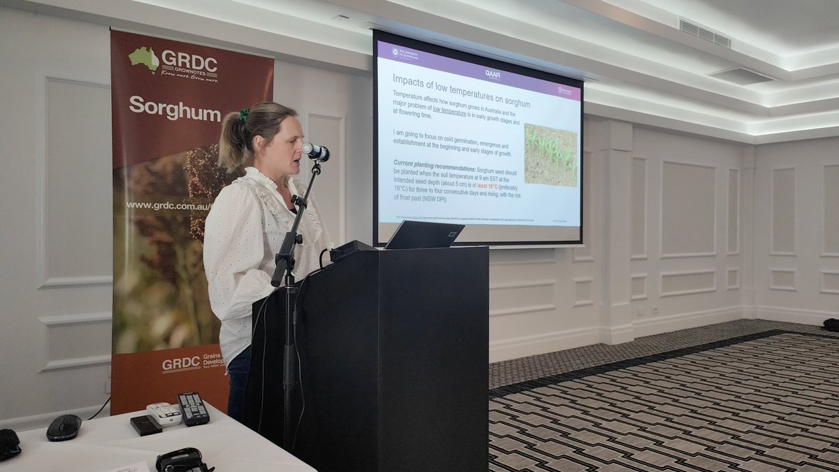 AusSORGM (@aussorgm) on Twitter photo Anna Price, PhD student <a href="/QAAFI/">QLD Alliance for Agriculture & Food Innovation</a> , speaks about #sorghum cold tolerance and the impacts of low temperatures on its growth Anna Price, PhD student <a href="/QAAFI/">QLD Alliance for Agriculture & Food Innovation</a> , speaks about #sorghum cold tolerance and the impacts of low temperatures on its growth