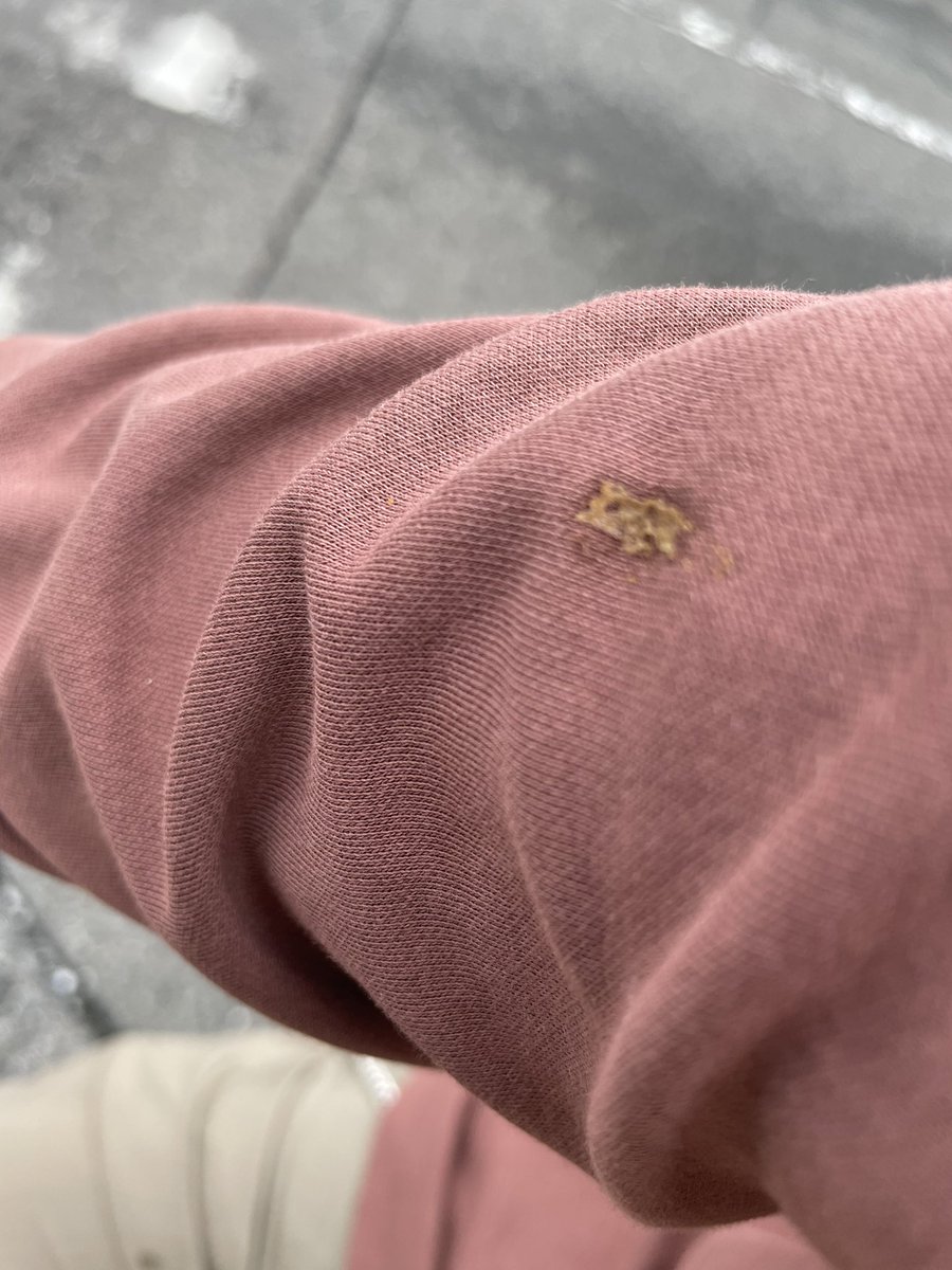 鳥の糞被りました。最悪です。うんち