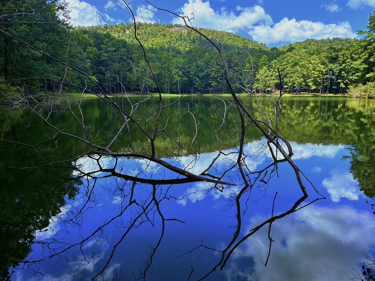 ObjectivityRach's tweet image. Belcher Lake at Oak Mountain @ALStateParks had perfect happy little cloud reflections today. @spann