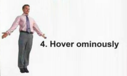 Kestrels when they see a big grassy field