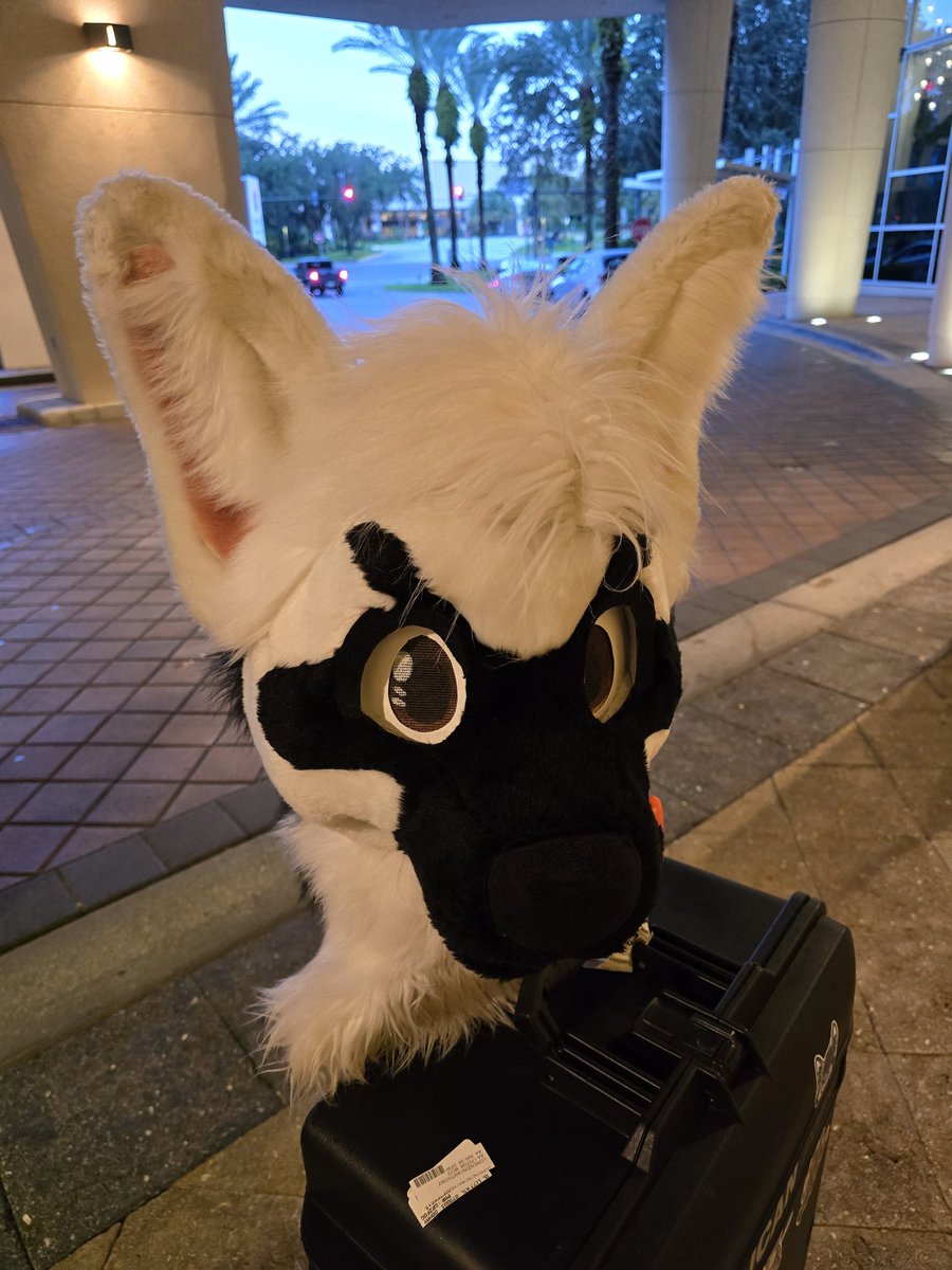 Another con done. It was great seeing everyone again. Have safe travels home and see yall at the next con!
#Megaplex2024
