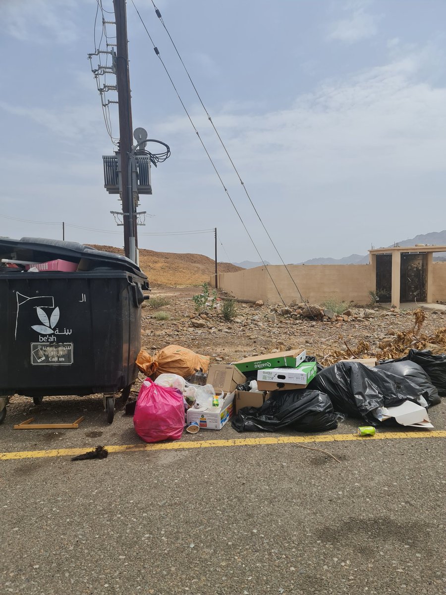 Tamima ali tweet media