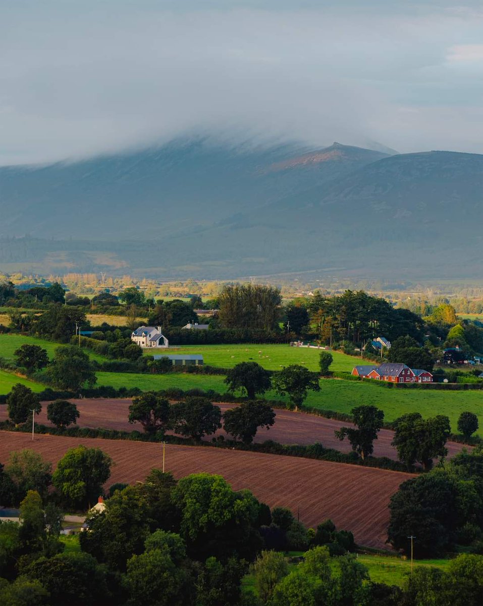 We Love Ireland tweet media