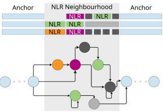 We constructed a pangenome graph with #pggb <a href="/erikgarrison/">Erik Garrison</a>  to crawl along the regions of the genomes where NLRs or pieces of NLRs are found at least in 1 accession UNTIL we found common (syntenic) anchors bordering those regions in all the accessions --> "NLR neighborhood"