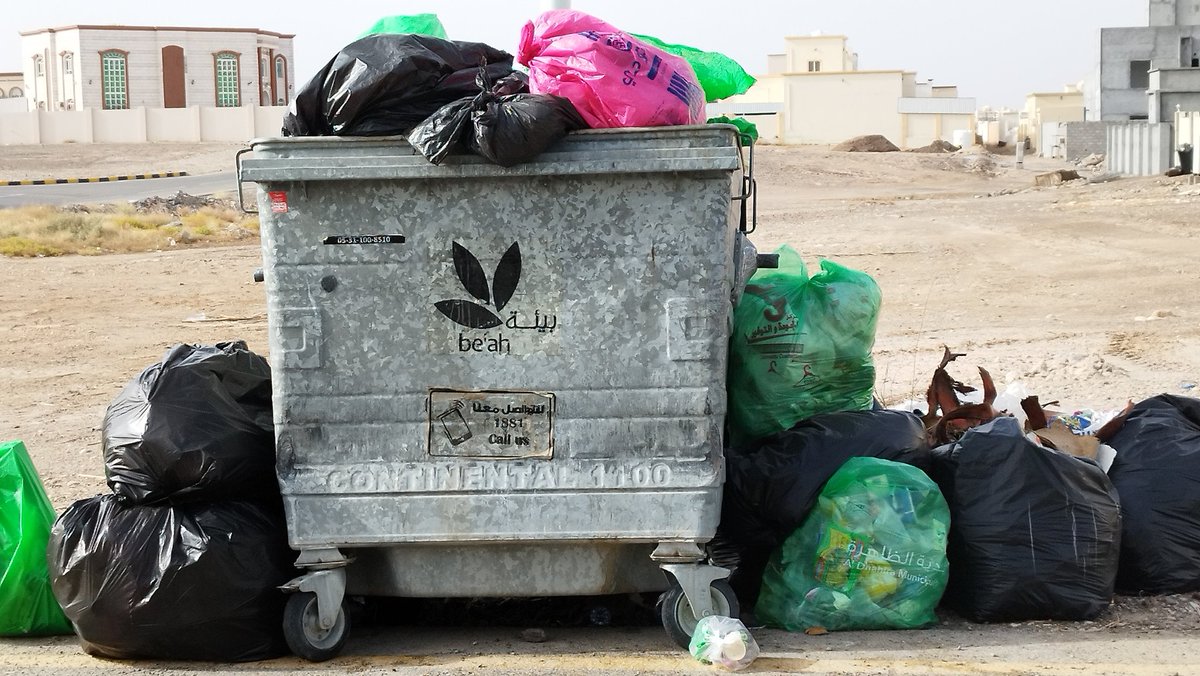 Tamima ali tweet media