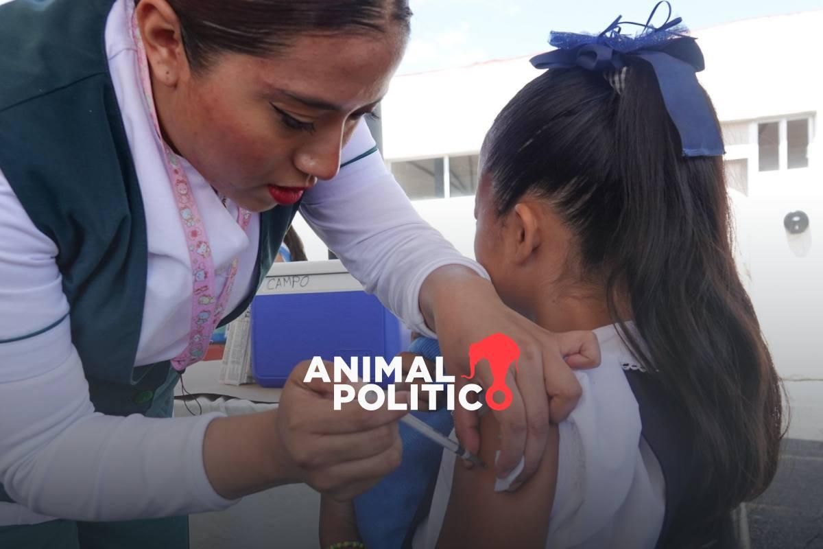 Pajaropolitico's tweet image. 💉 Esto es lo que debes saber sobre la campaña nacional de vacunación contra el VPH 2024.

Se espera aplicar más de un millón de dosis de la vacuna a niñas, adolescentes y personas en riesgo. 

🔗 buff.ly/3X2LlXe