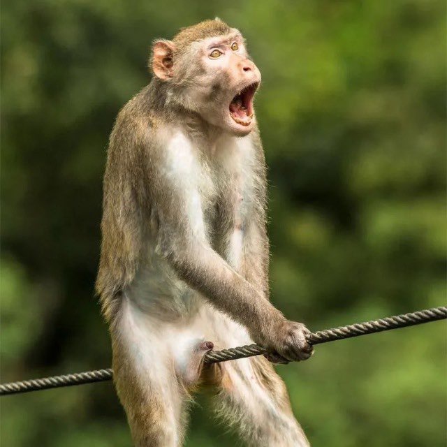 <a href="/slingoor/">sling</a> Ape a bag into $HLT my man. 

94xVTp3preRxCeVbukRY2JRhu2wiVFbVr5yJcXpBpump

t.me/HoldTheLineCTO