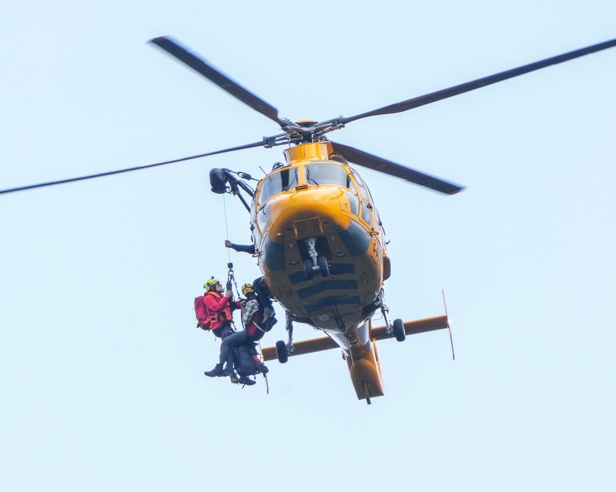 Norm Lee tweet media