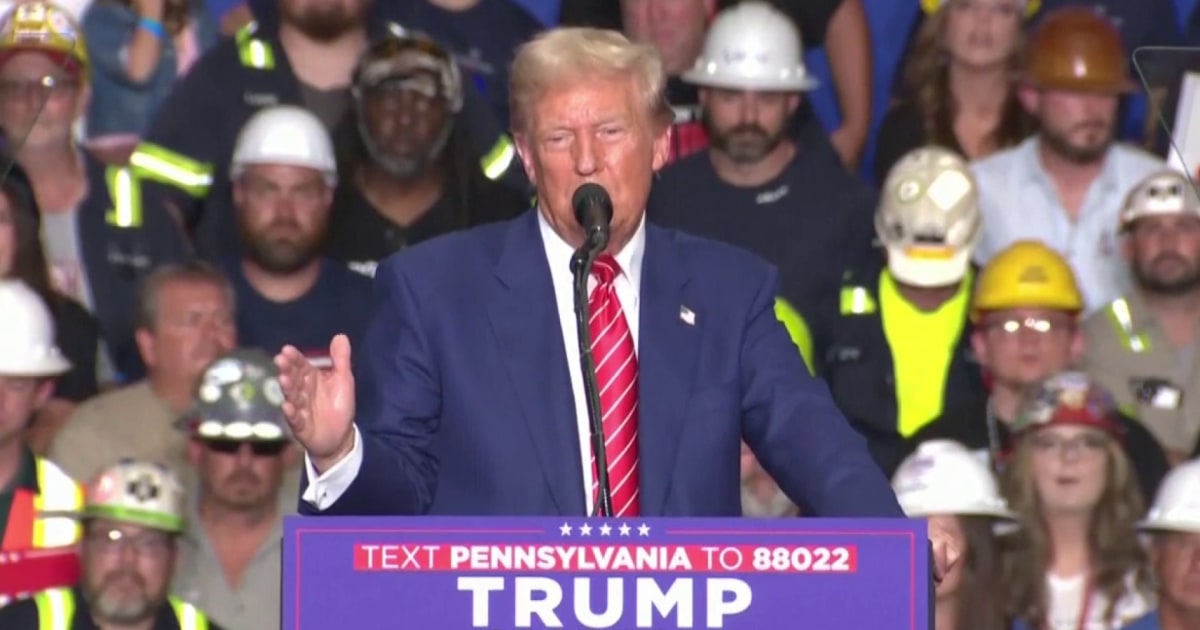 Fmr. Romney strategist: Trump ‘needs new customers’ to win in November dlvr.it/TCkMj5