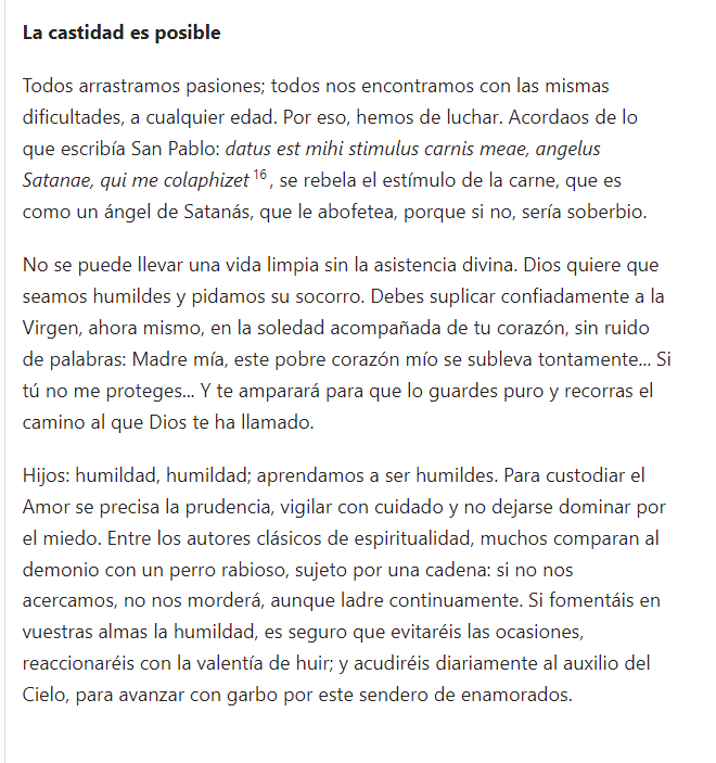 LvdwigIHS's tweet photo. Leer a San Josemaría sobre castidad siempre da gusto. https://t.co/Tako5vJHUV