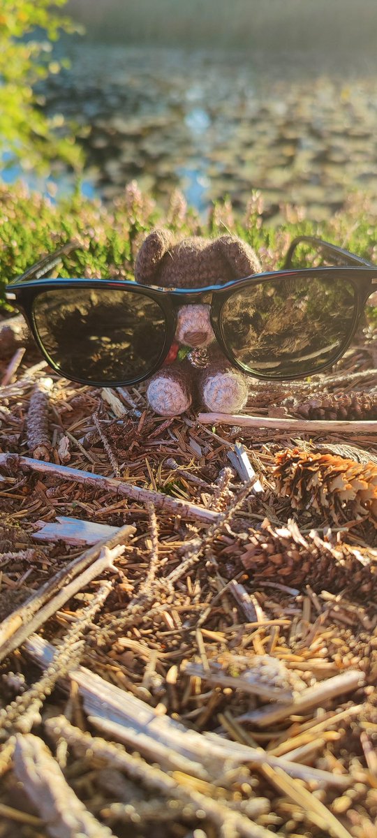 Fjeldbeth's tweet image. Just realized that it is my little friend Jey the Bear's 🐻 birthday today 😅
One year since I made him, and he's been white me on so many adventures. And more will come #makeyourownfun #jeythebeare