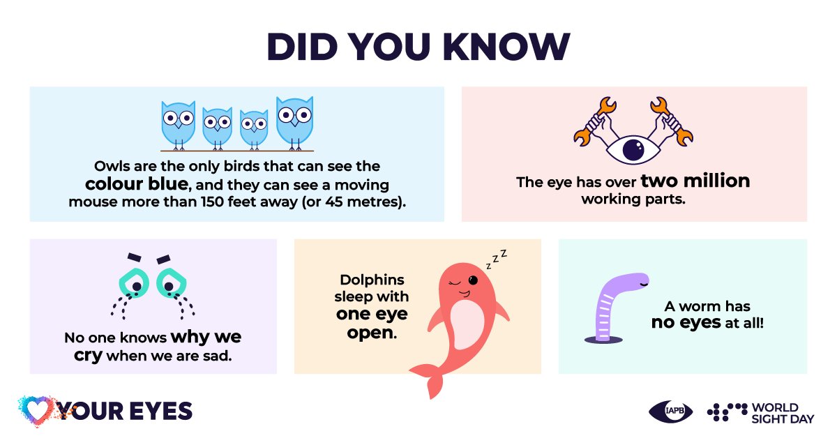 Be a #LoveYourEyes Campaigner. 

We invite you to use our specially crafted campaign assets, from logos to Love Your Eyes Heart Glasses. Inspire your networks and get involved in Love Your Eyes Kids this World Sight Day. 

Download now: brnw.ch/21wMhJJ

#WorldSightDay