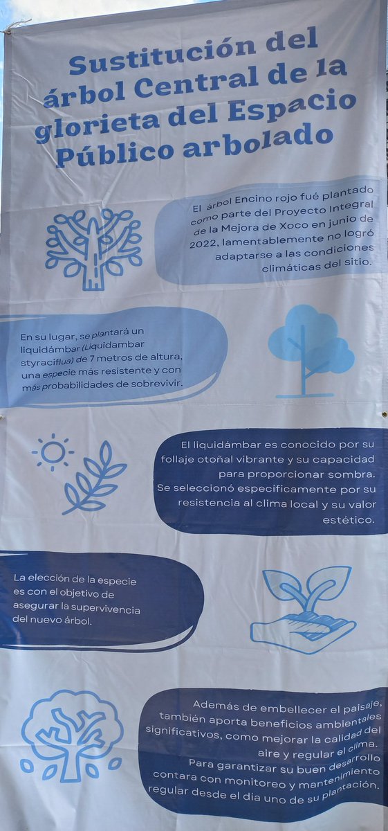 Pueblo de Xoco (@pueblodexoco) on Twitter photo Se anuncia la siembra del tercer árbol en lo que fue la calle Real de Mayorazgo, después de ser privatizada por Mítikah, <a href="/SEDEMA_CDMX/">Secretaría del Medio Ambiente</a> "justificó" la anexión del espacio público para un "espacio arbolado" y mitigar el impacto de Fibra Uno, sin embargo ya van 2 árboles que mueren. Se anuncia la siembra del tercer árbol en lo que fue la calle Real de Mayorazgo, después de ser privatizada por Mítikah, <a href="/SEDEMA_CDMX/">Secretaría del Medio Ambiente</a> "justificó" la anexión del espacio público para un "espacio arbolado" y mitigar el impacto de Fibra Uno, sin embargo ya van 2 árboles que mueren.