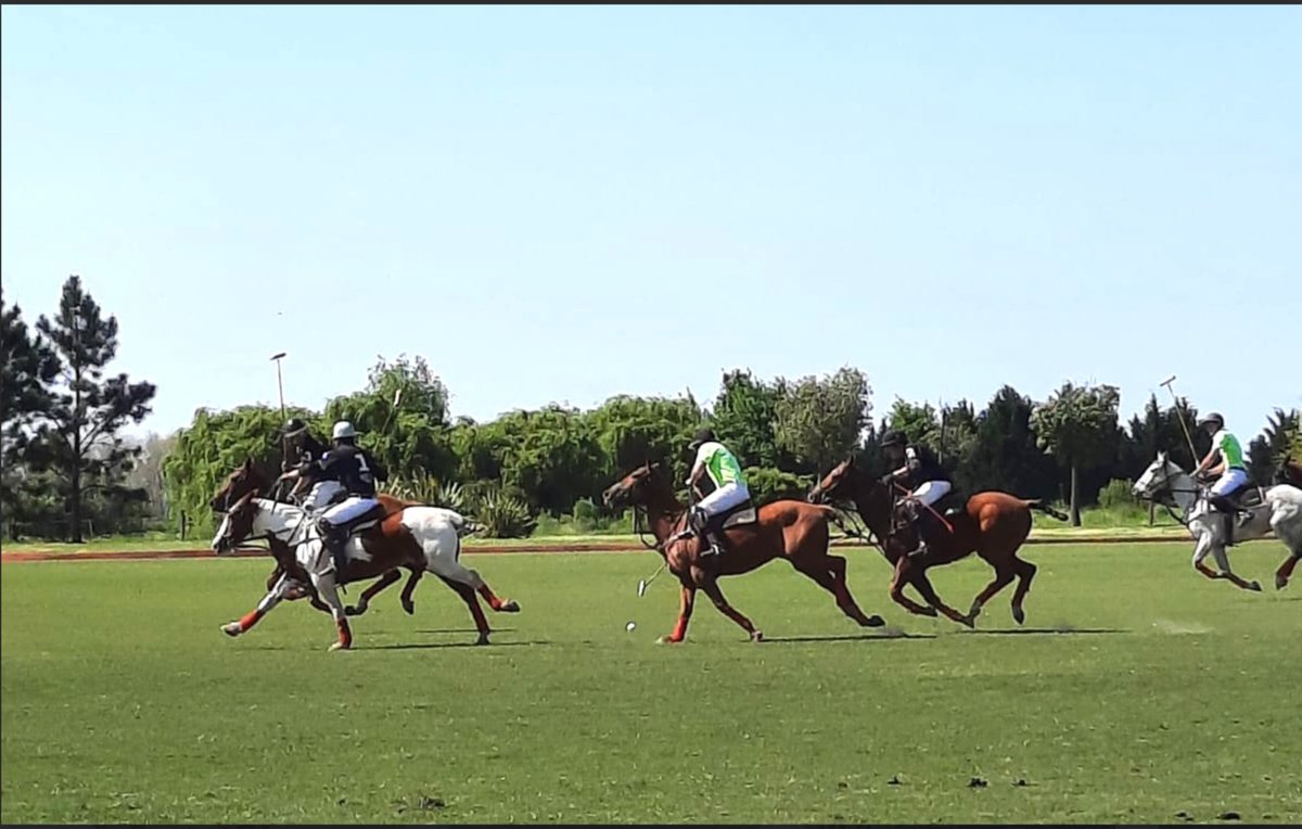 polo_holidays's tweet photo. Join us through this recap of Argentinean polo history and be the next to write your name on it
https://t.co/Y5qLhndx9q

#PoloHolidays #Travel https://t.co/nFkQxWvZfp
