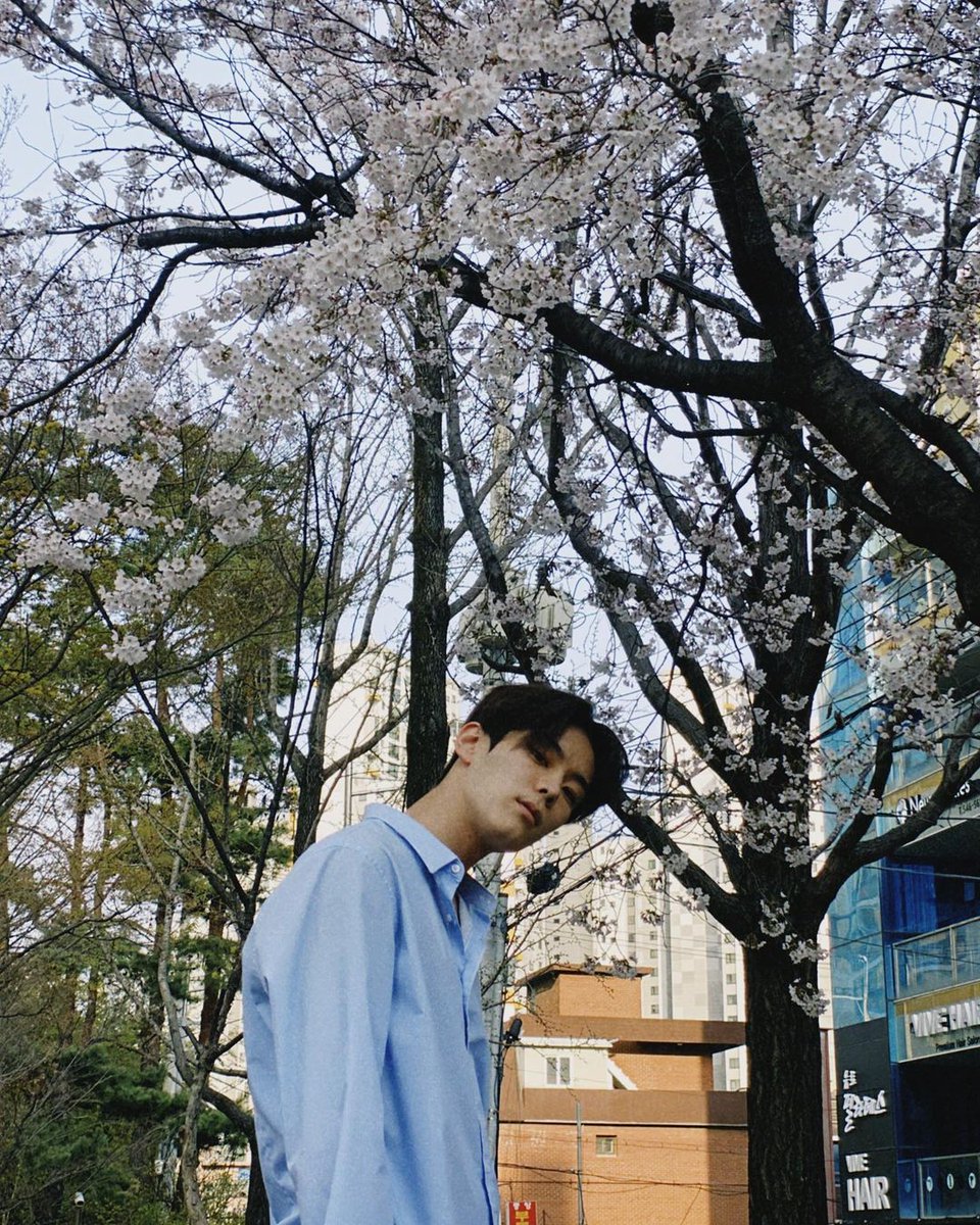 i8waves's tweet image. ㅤㅤㅤ
             𝚕uke 𝚖emories u𝕡date !