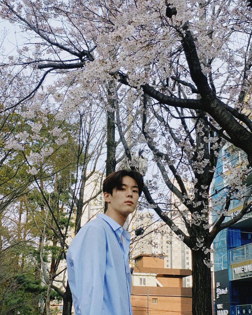 i8waves's tweet image. ㅤㅤㅤ
             𝚕uke 𝚖emories u𝕡date !