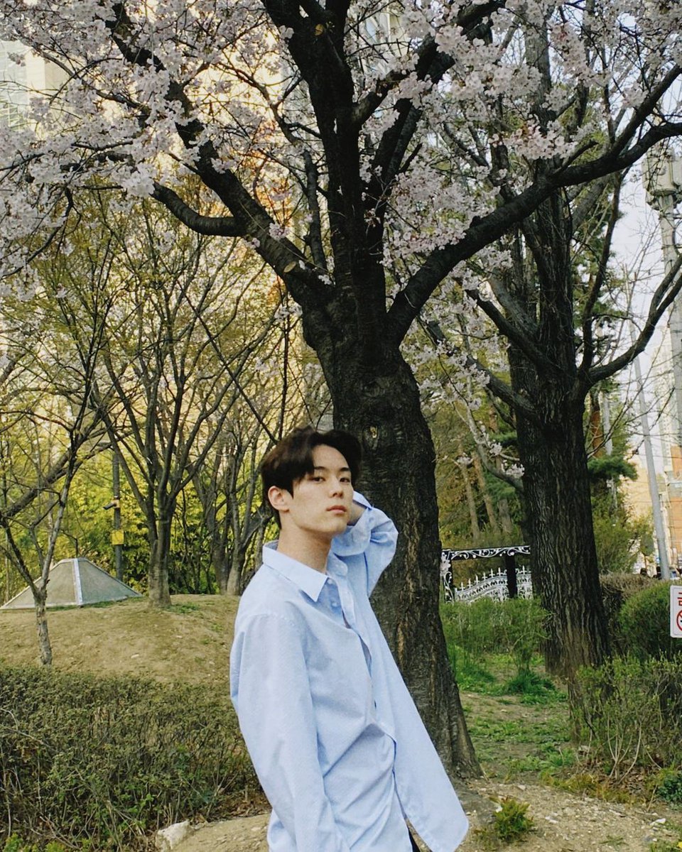 i8waves's tweet image. ㅤㅤㅤ
             𝚕uke 𝚖emories u𝕡date !