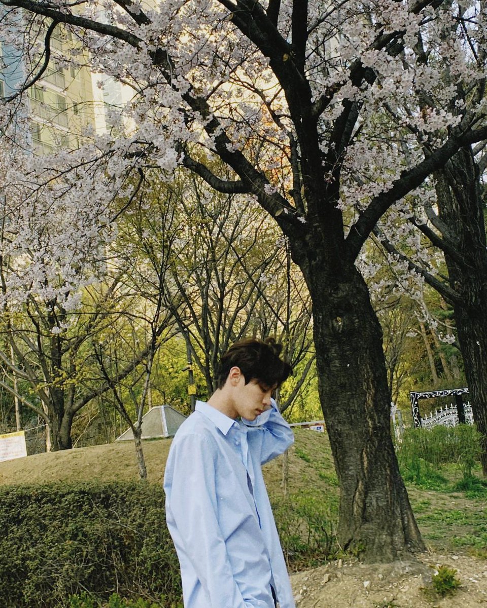 i8waves's tweet image. ㅤㅤㅤ
             𝚕uke 𝚖emories u𝕡date !