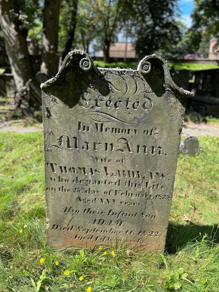 Dead In Halifax tweet media