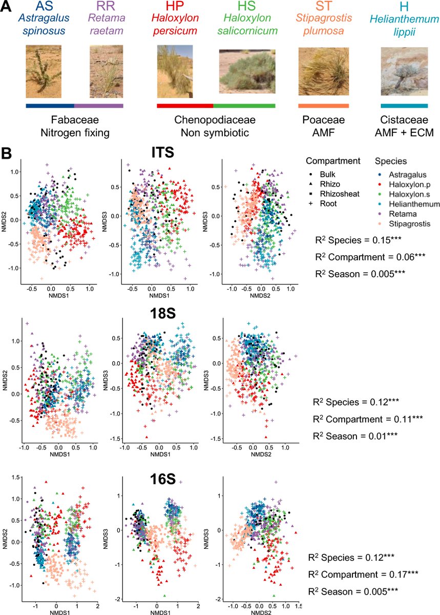 MicrobiomeJ's tweet photo. Networking the desert plant microbiome, bacterial and fungal symbionts structure and assortativity in co-occurrence networks https://t.co/UKYnEBTEC2 https://t.co/v4qSwhqZU9
