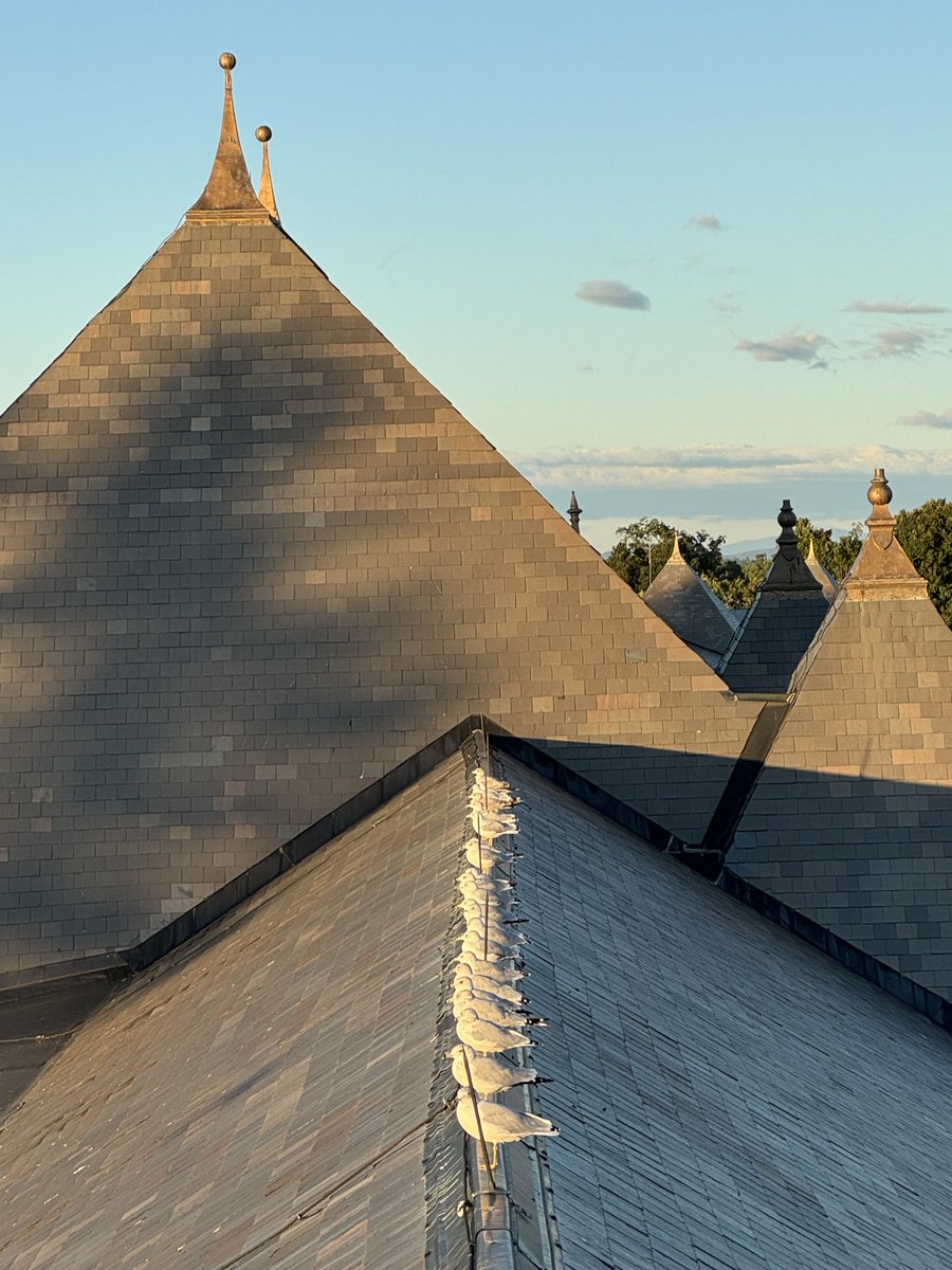 Birdland after the last race of the Saratoga 2024 season. ⁦<a href="/theTDN/">TDN</a>⁩