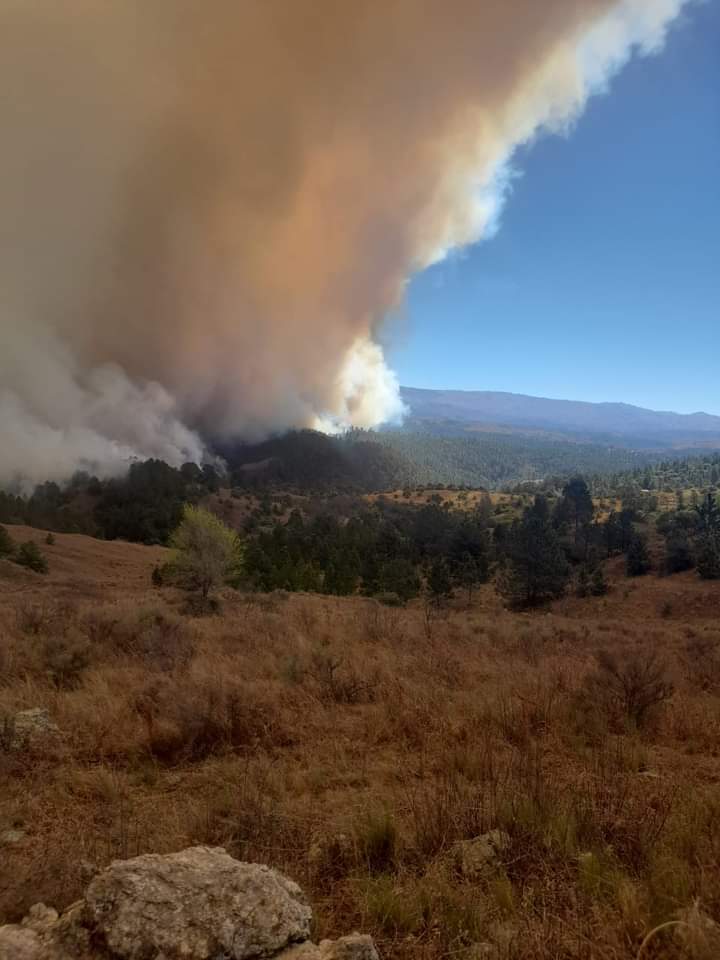 El #Incendio en Paraje #ElDurazno perteneciente a #YacantoDeCalamuchita está descontrolado. Hay número de viviendas quemadas no precisado y evacuados en un centro de operaciones conformado para tal fin.