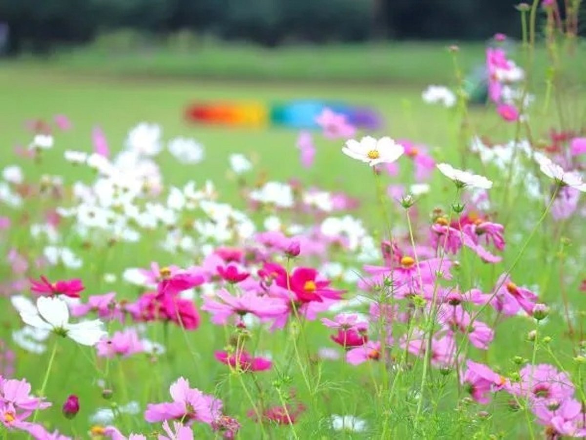 ITmedia エグゼクティブ tweet media