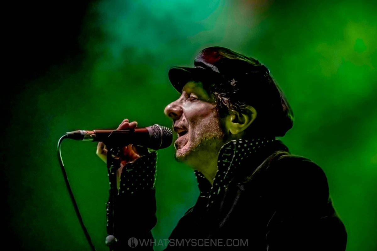 What's My Scene tweet media