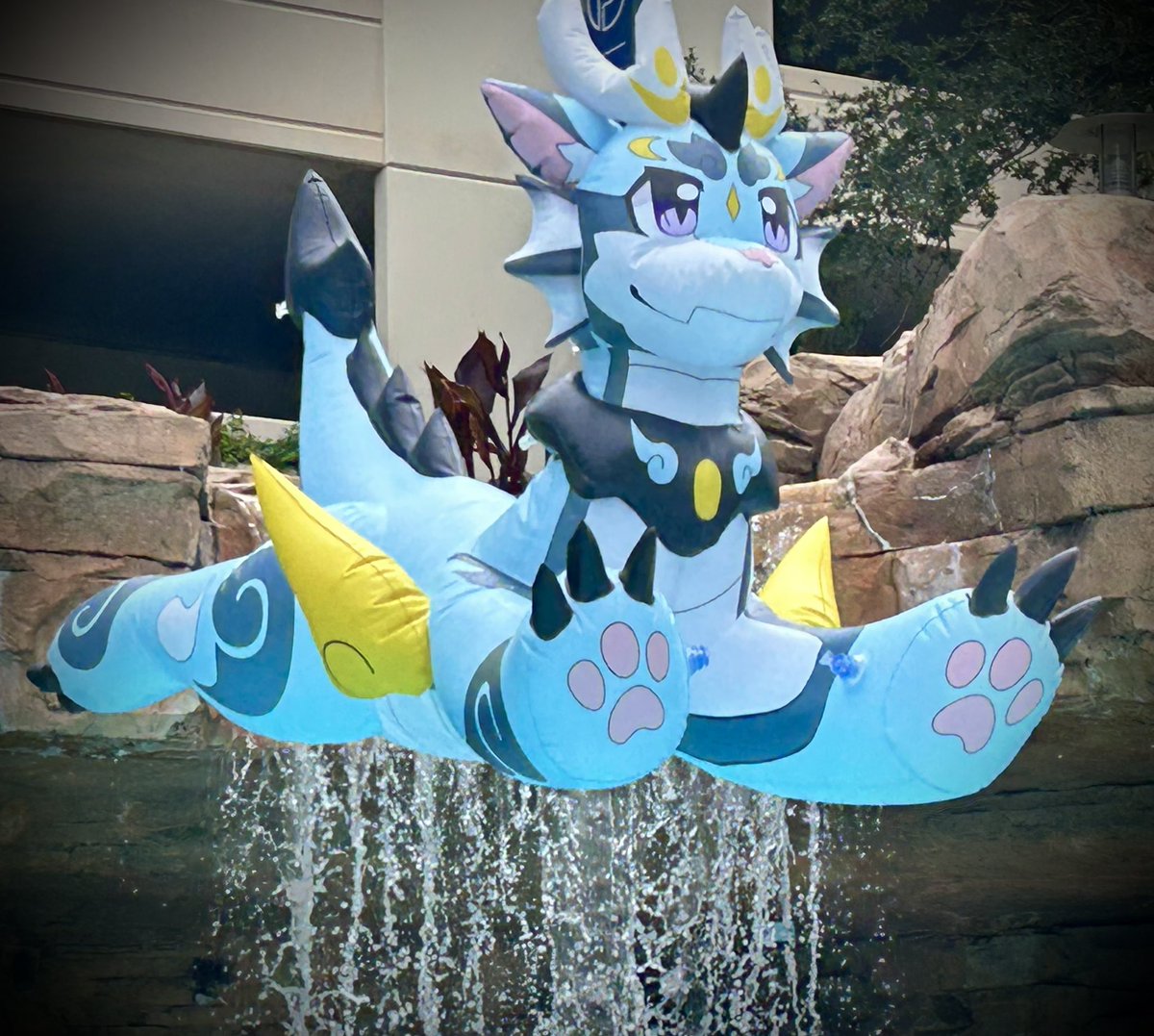 Xavier Alexander tweet media