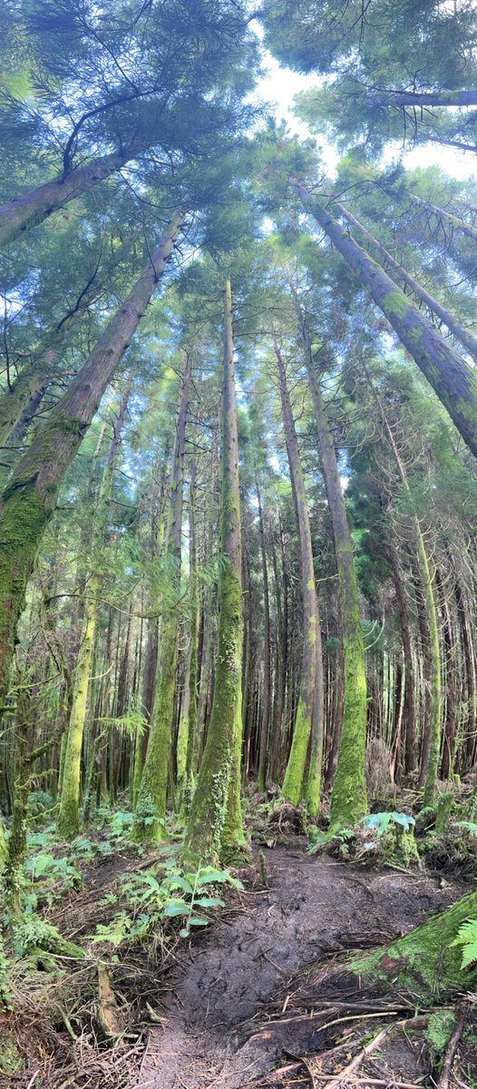 This week the Hydrogeology Group of IIAMA is showing its latest research at the 12th International Geostatistics Congress in Azores (Portugal). Exciting news are coming… stay tuned !!!