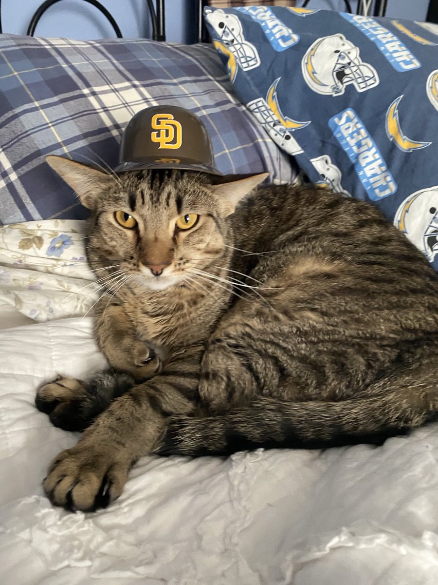 EmilyM_Little's tweet photo. #PadresPets ⚾️ https://t.co/jxBnCguaws
