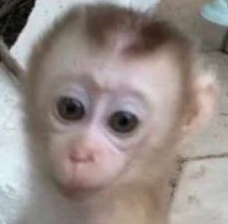 <a href="/dedsafio/">DEDsafio</a> <a href="/dedreviil/">elded</a> <a href="/EufoniaStudio/">Eufonia Studio</a> Holaa me gustaría muchísimo entrar, ándale si ded? ¿Si? gracias, me tardé 7 horas y 11 minutitos intentando el salto de Bobi, prometo no morir rápido 🫡