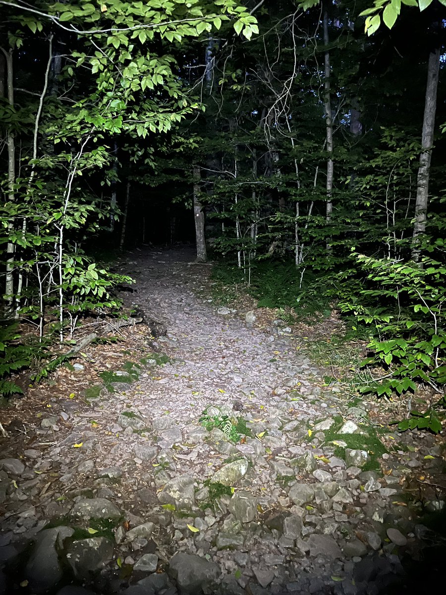 KVohs333's tweet photo. Conquered the entire infamous Devil’s Path hike, with its brutal almost 24 miles &amp; 8000 ft of elevation gain from 6 mountains, in one day after a before sunrise start! Can’t say I’ll ever do that again 😵‍💫 https://t.co/W31SKoVaOl