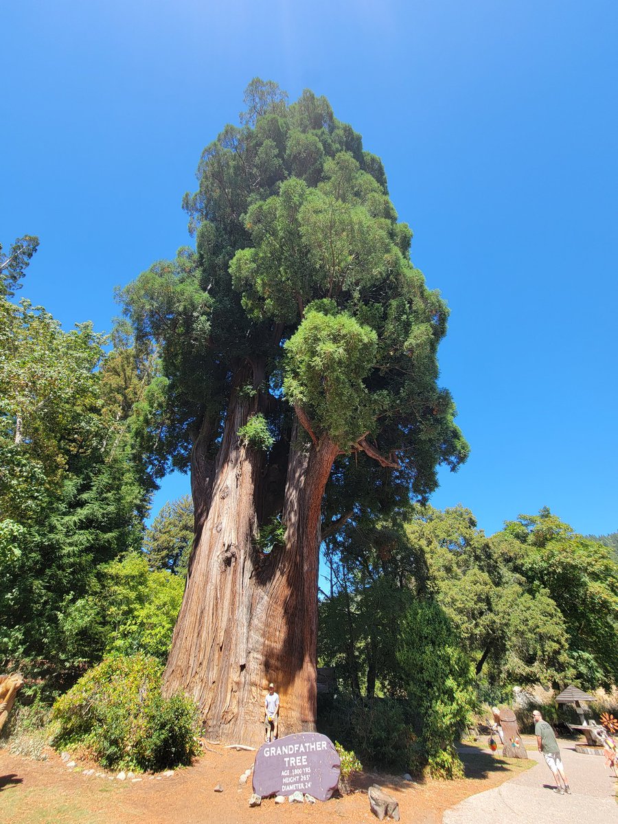 Michelle tweet media