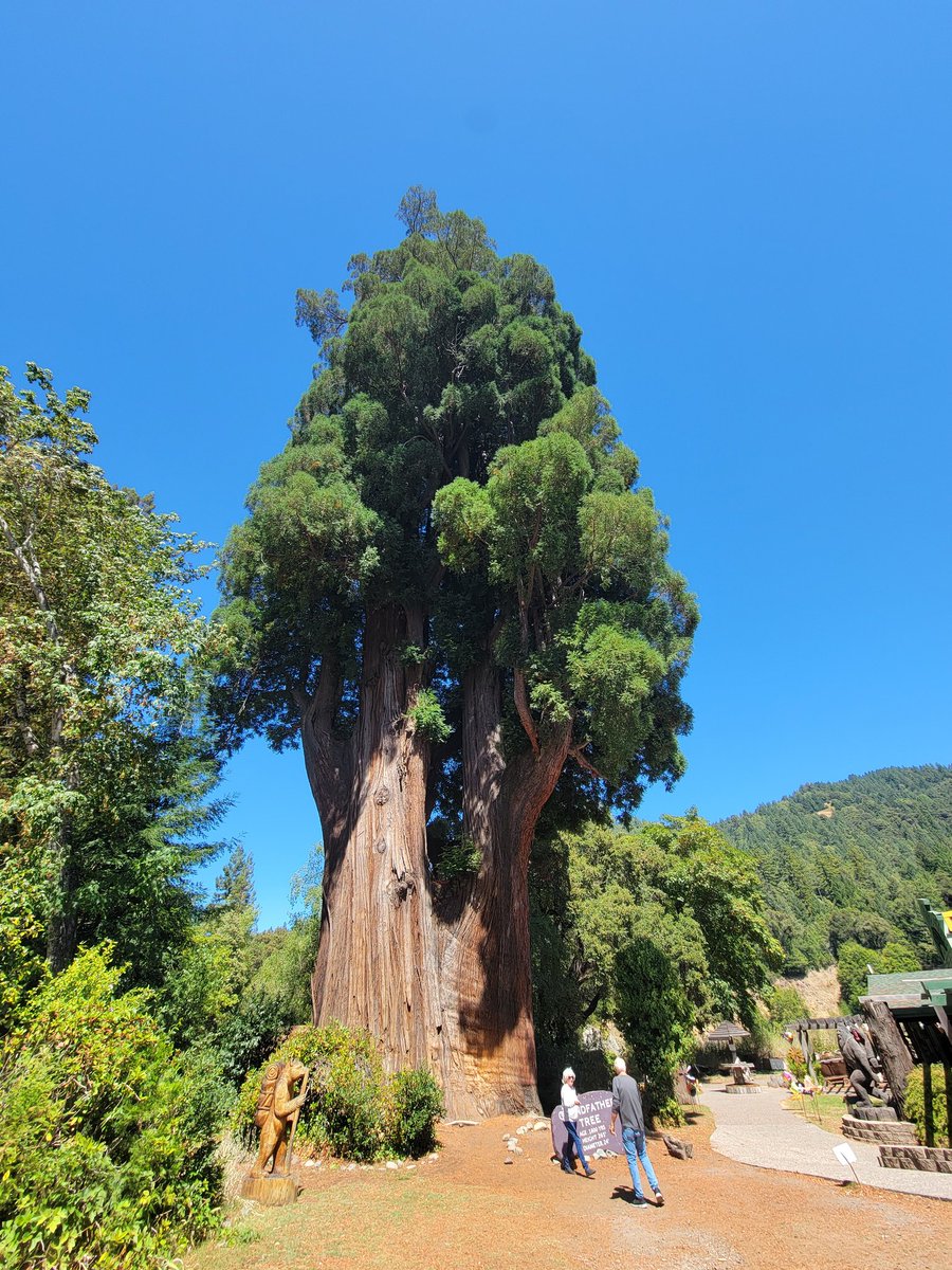 Michelle tweet media