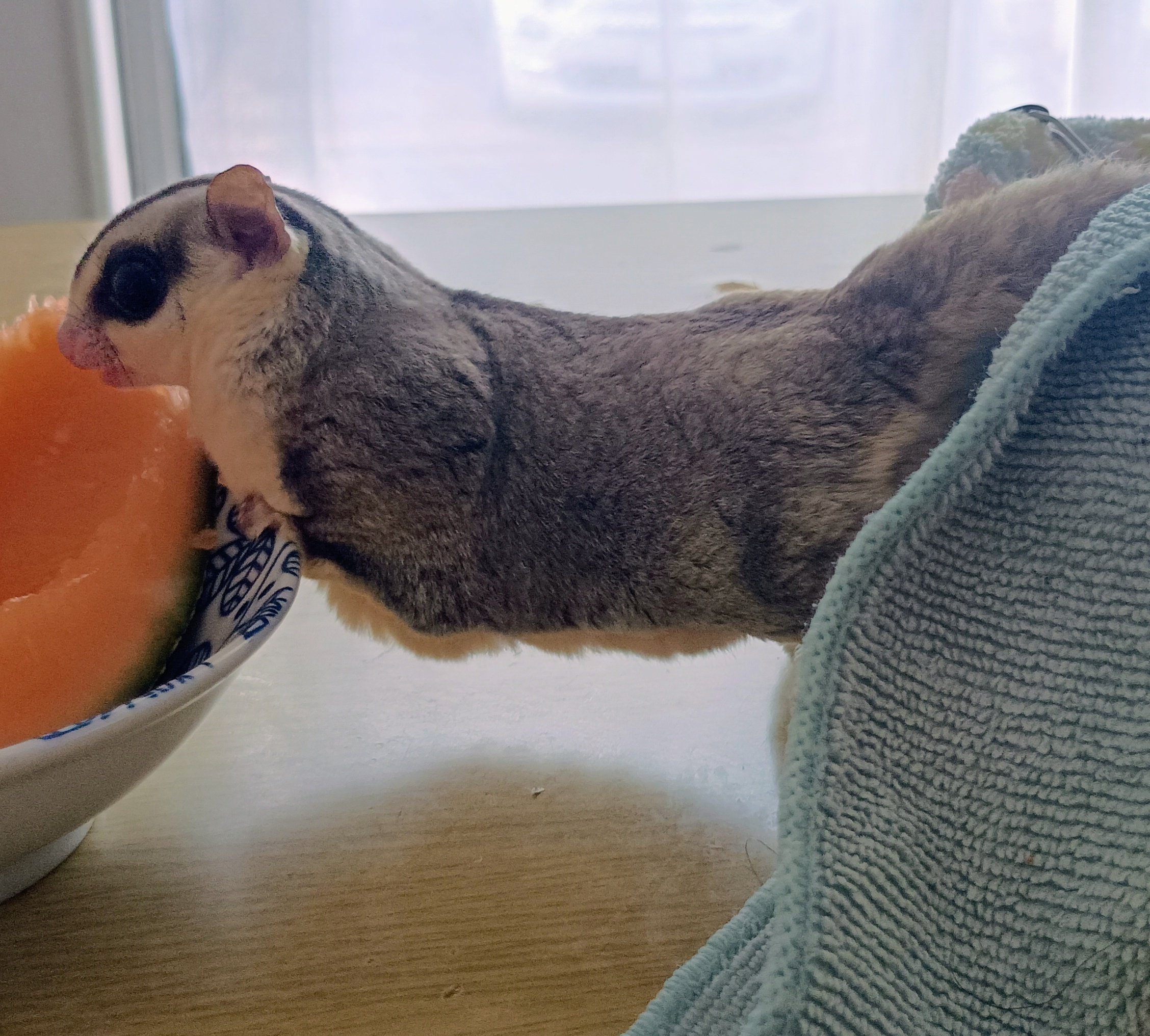 もっちゃん - Search / X