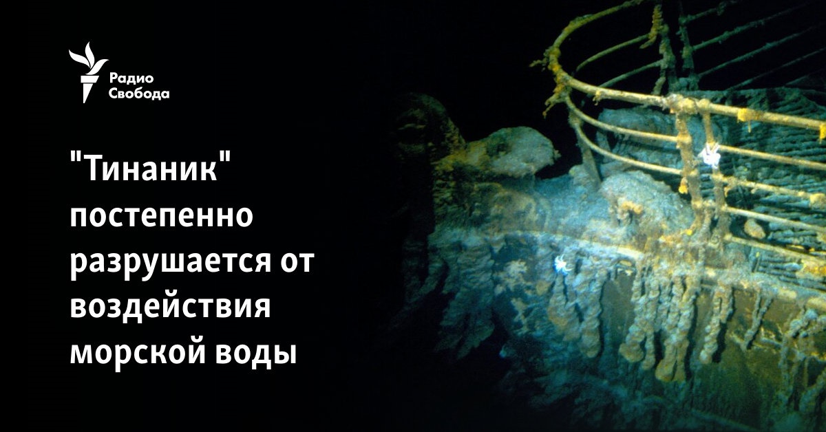 Rekshin Oleg tweet media