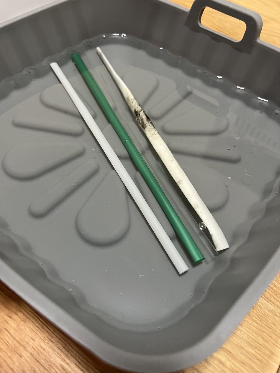 DAY 29: OMAO straw is flattening. 

Not much has changed with the other straws. 

Remember, OMAO straw is at the left hand side and we are proving that it biodegrades in 90 days.