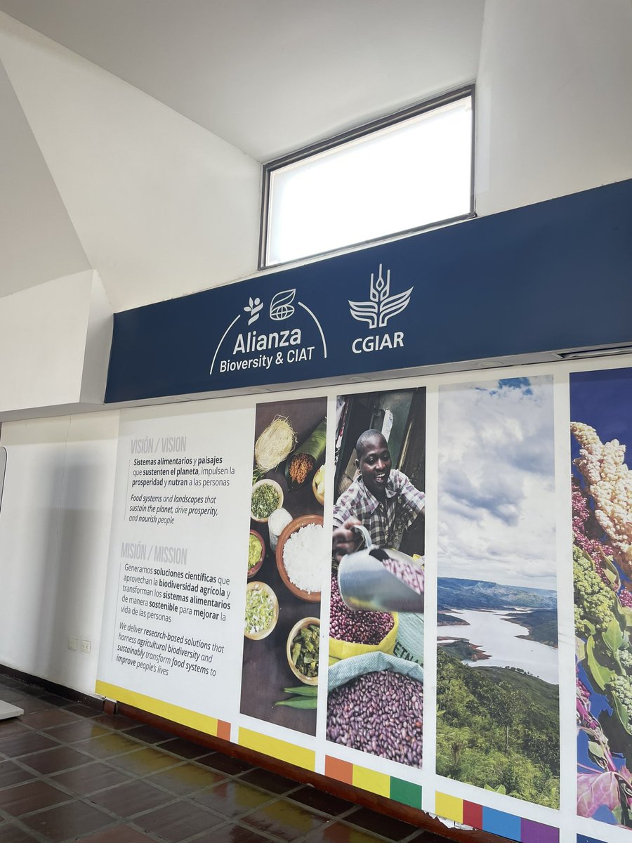 Cristina PonceL tweet media