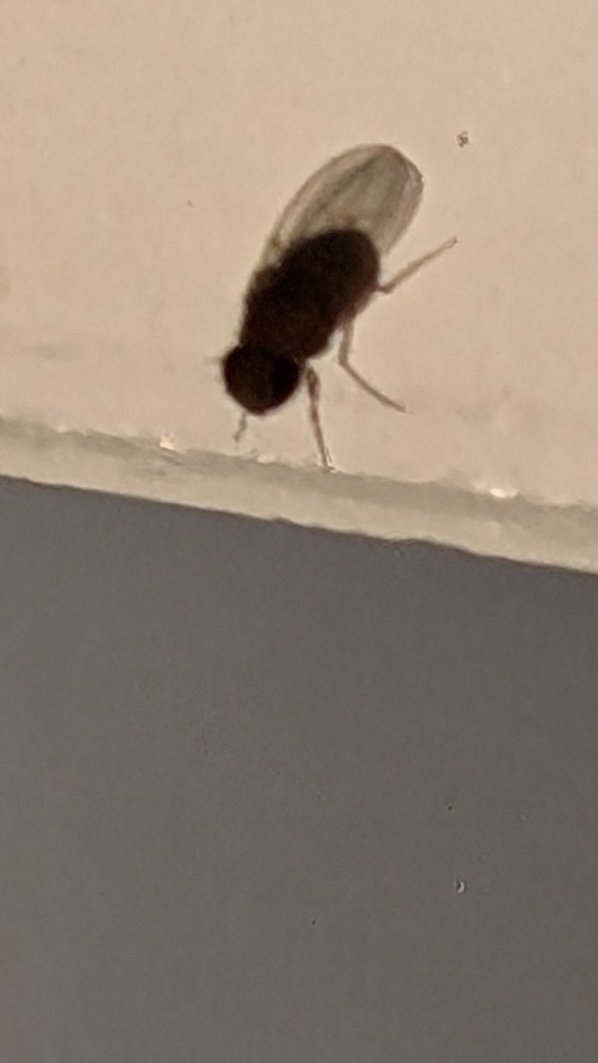 Markus_Willen tweet media