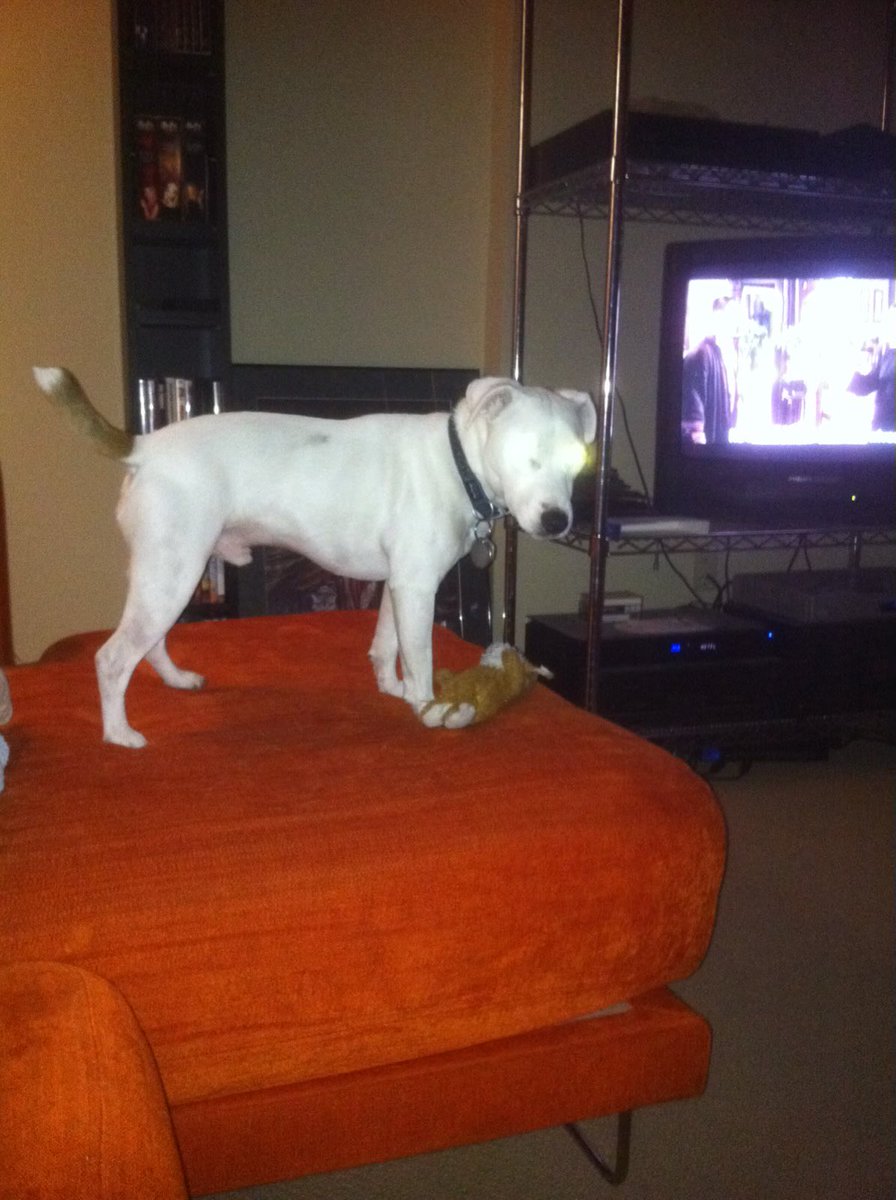 Looking through old pics and I realized that perhaps I never told you that Logan had super powers.