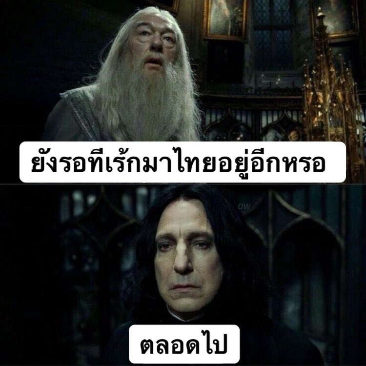 sundaecheese_'s tweet image. 