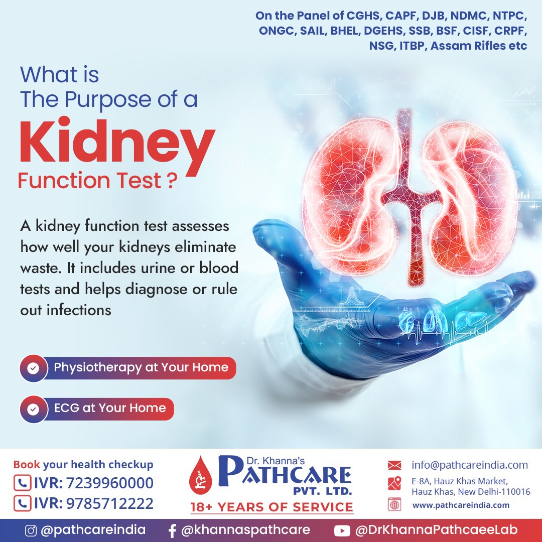 DPathcare's tweet photo. Discover the importance of a Kidney Function Test in assessing your kidney health. These tests, including urine and blood analyses, help diagnose.
Visit or call
π 9785712222, 7239960000
Website: https://t.co/qWx0SpeC7U
#pathcare #DrKhannaPathcare #kidneyhealth https://t.co/tl2qIinhy9