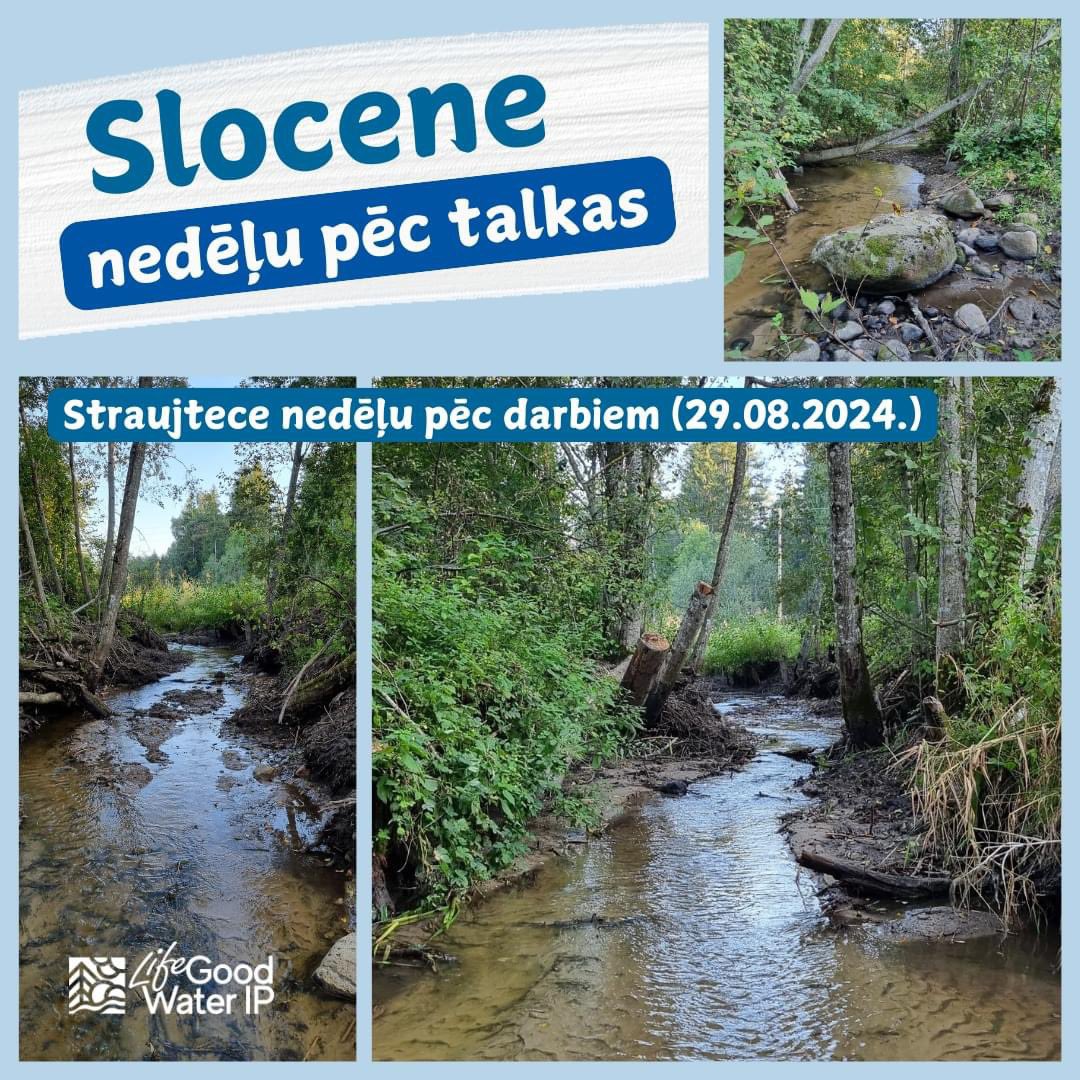 🌊 Atgūtās Slocenes upes straujteces 🌿 Šādi ir mūsu kopīgā darba rezultāti!

Tagad Slocene ir atguvusi kādu daļu no saviem straujteces posmiem un iespēju uzlabot savu ekoloģisko stāvokli.

Šis ir lielisks piemērs tam, kā kopīgi spējam saglabāt un atjaunot mūsu upes! #goodwaterip