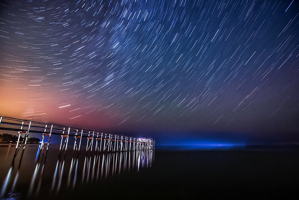 Diane Hammerling tweet media