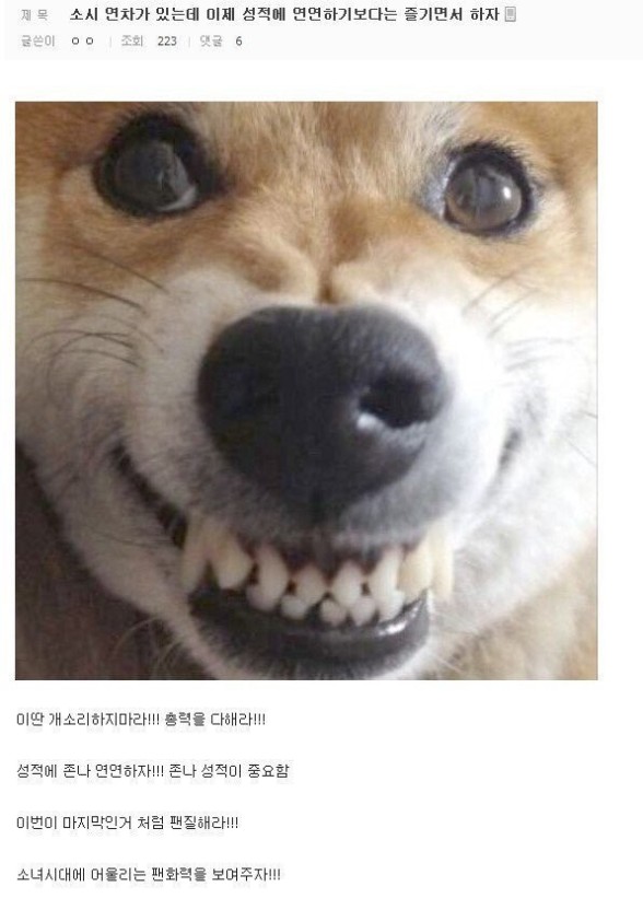 이표정으로스밍돌림