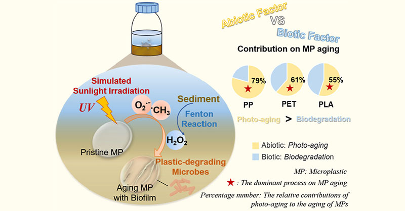 Environmental Science & Technology Journals (@envscitech) on Twitter photo Accelerated aging of #Microplastics (MPs) in the sediment–water interface under simulated sunlight conditions generate #ReactiveOxygenSpecies, thus leading to selective attachment of #plastic-degrading #microbes on the MP surface. <a href="/ZJU_China/">Zhejiang University</a>
ES&T: go.acs.org/aGp Accelerated aging of #Microplastics (MPs) in the sediment–water interface under simulated sunlight conditions generate #ReactiveOxygenSpecies, thus leading to selective attachment of #plastic-degrading #microbes on the MP surface. <a href="/ZJU_China/">Zhejiang University</a>
ES&T: go.acs.org/aGp